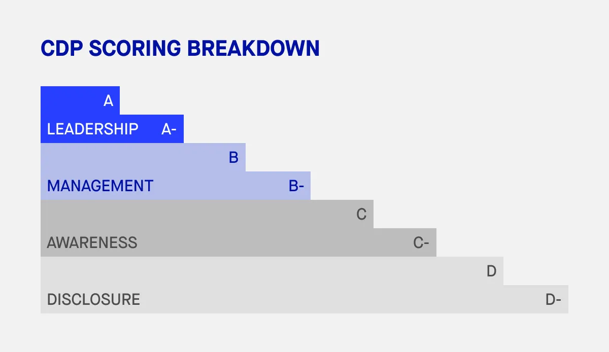CDP scoring breakdown