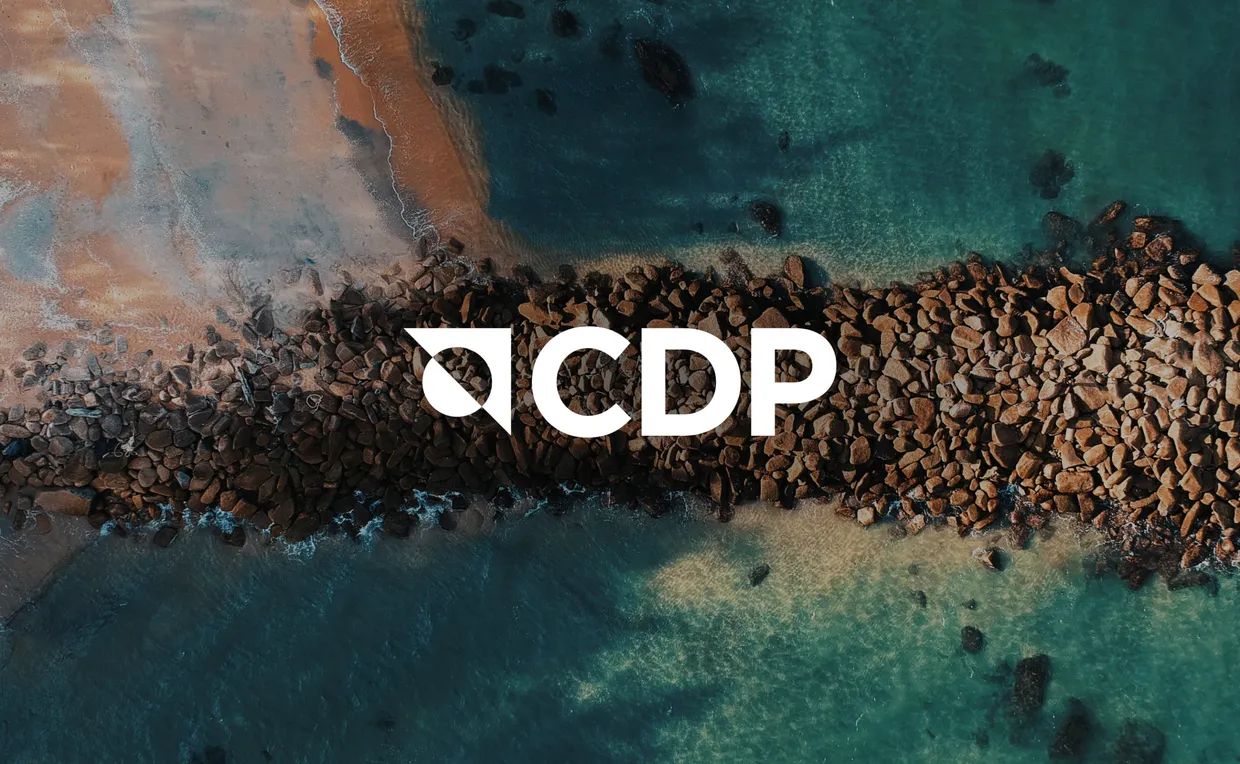CDP Reporting